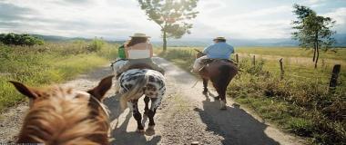 定制化体育活动营销