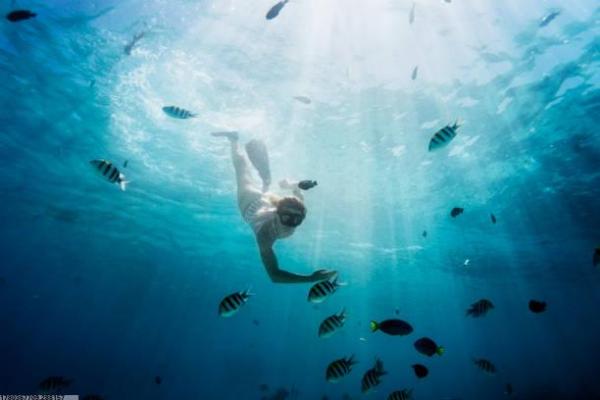 深圳体育馆瑜伽培训班课程特色剖析(图1)